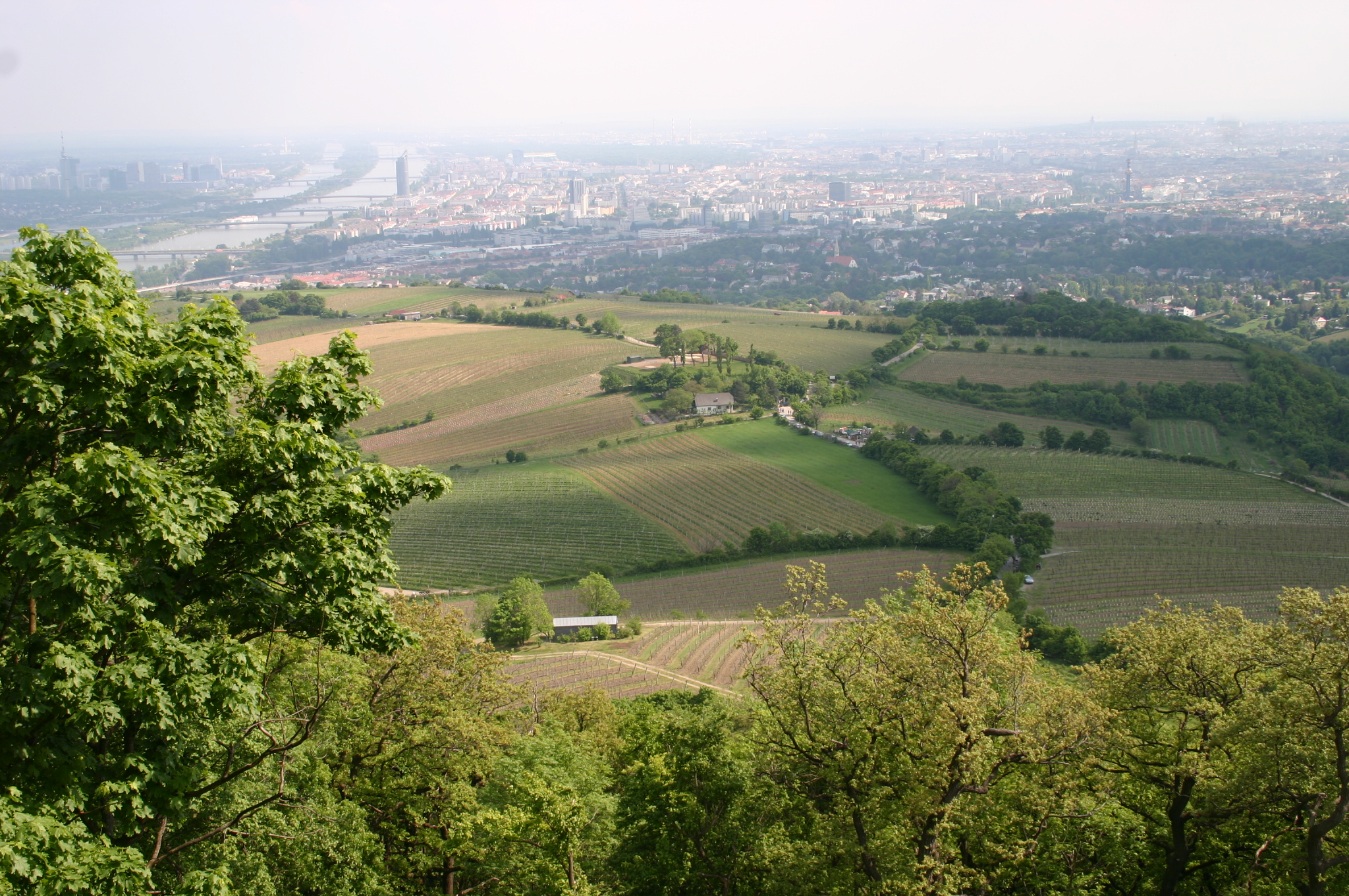 Wien und Wienerwald