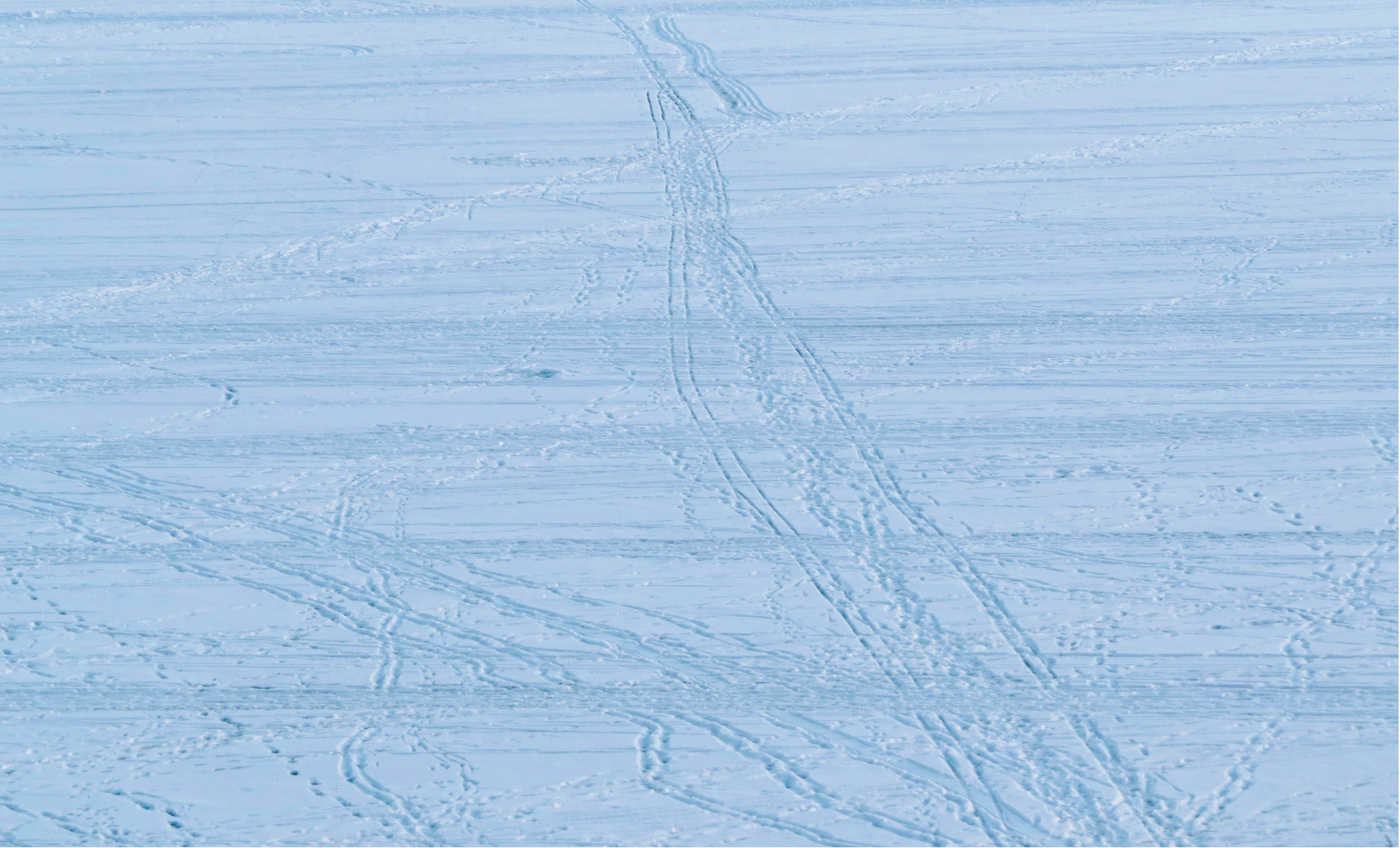 A frozen water surface in grey-blue tones crossed by countless footprints and ski tracks 