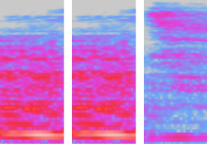 spectral features of the observed audio