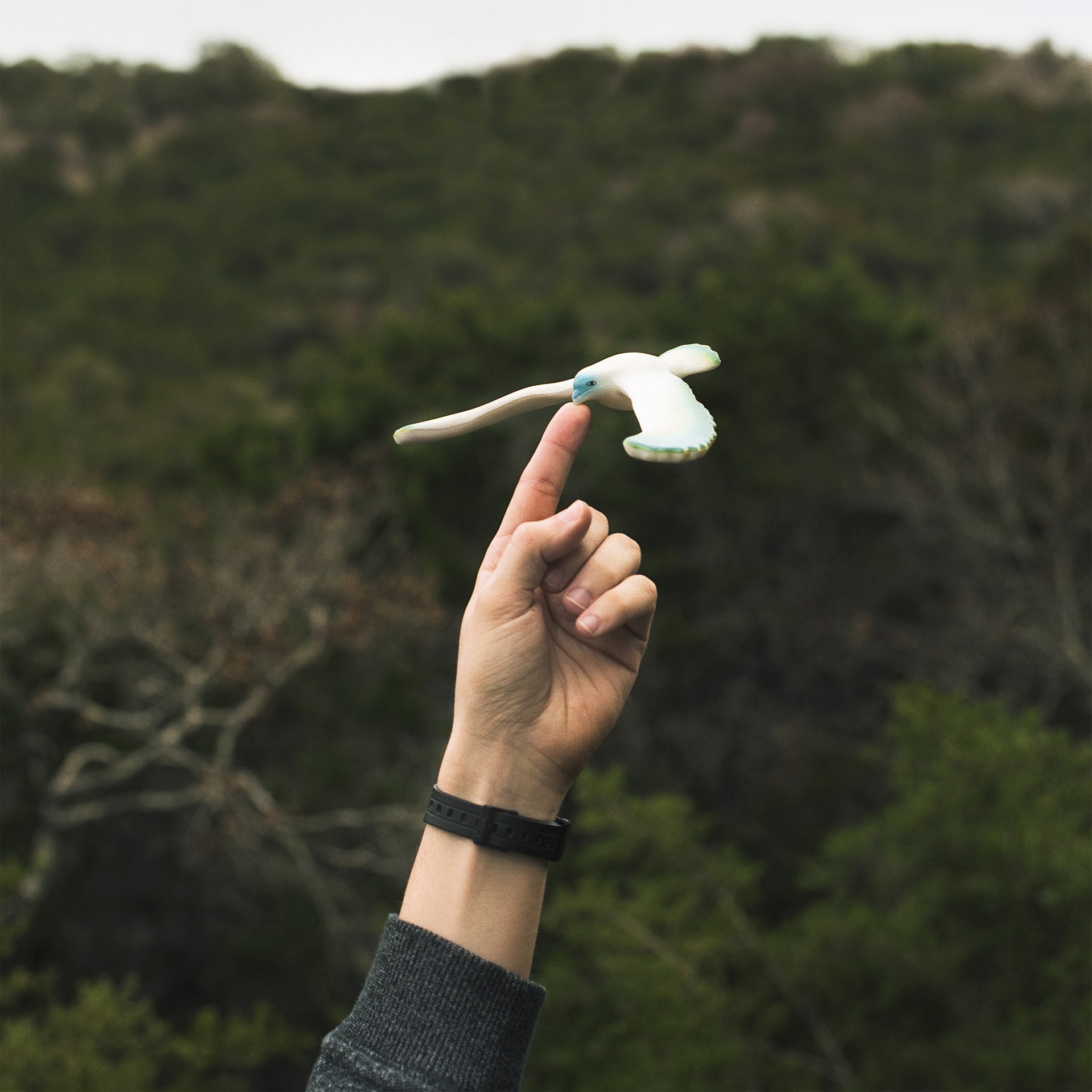 This toy uses the principles of center of mass to keep balance when sitting on a finger.