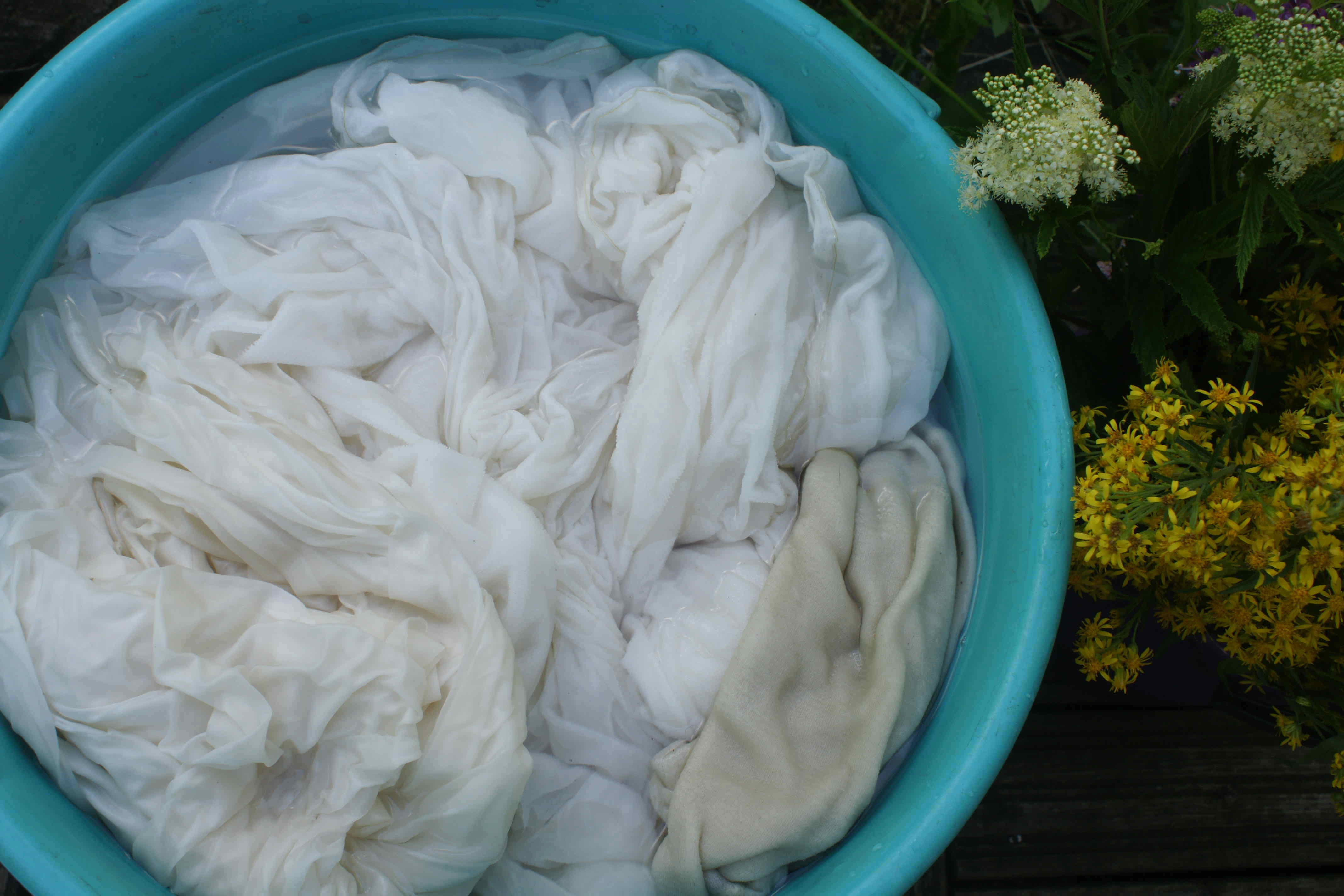 White fabrics in a mordanting solution in a bucket.
