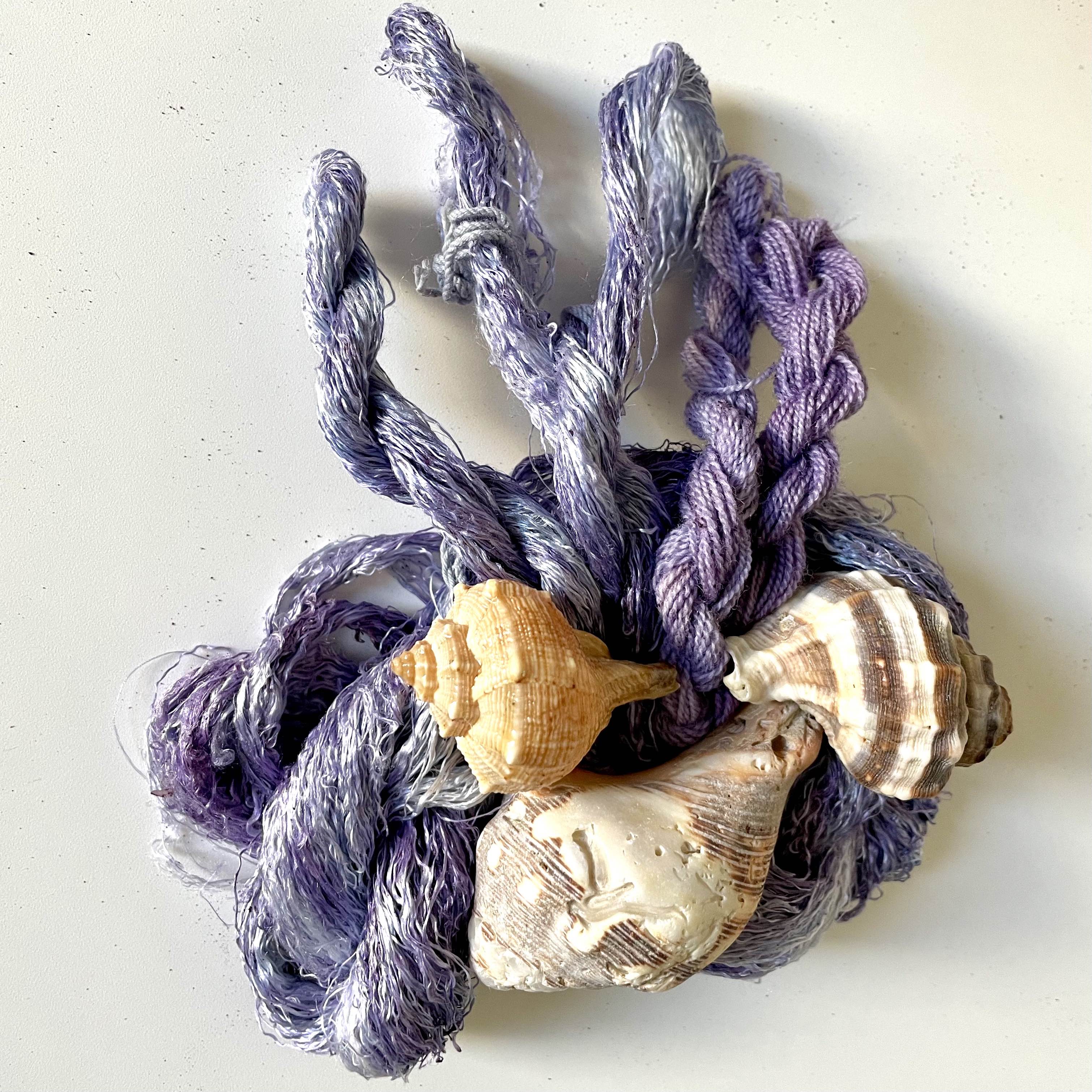 Silk and wool dyed with mollusc dyes, and shells of the three types of molluscs