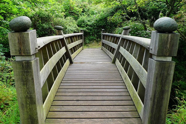A bridge leading to a forest