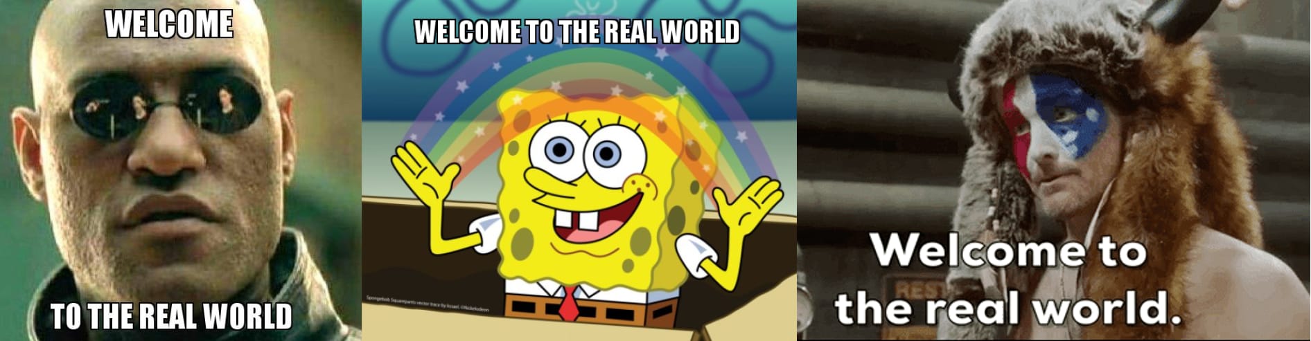 Three memes of the saying "Welcome to the real world" popularised by the movie Matrix