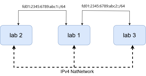 IPv6 topology to implement