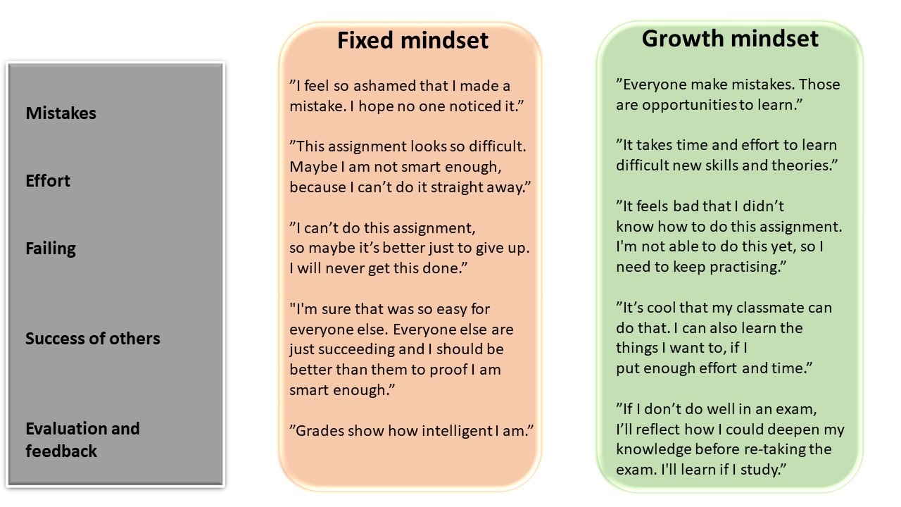 Fixed and growth mindset