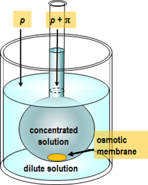 Principle of an osmosis measurement.