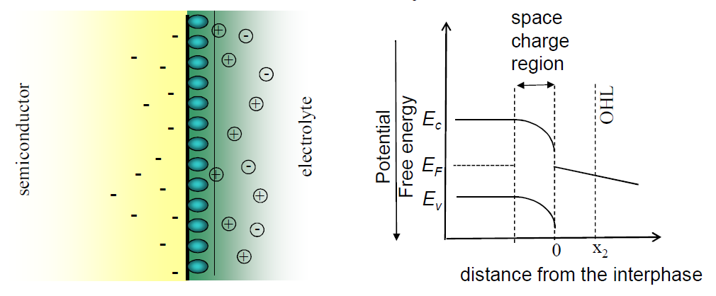 Semiconductor-electrolyte interface