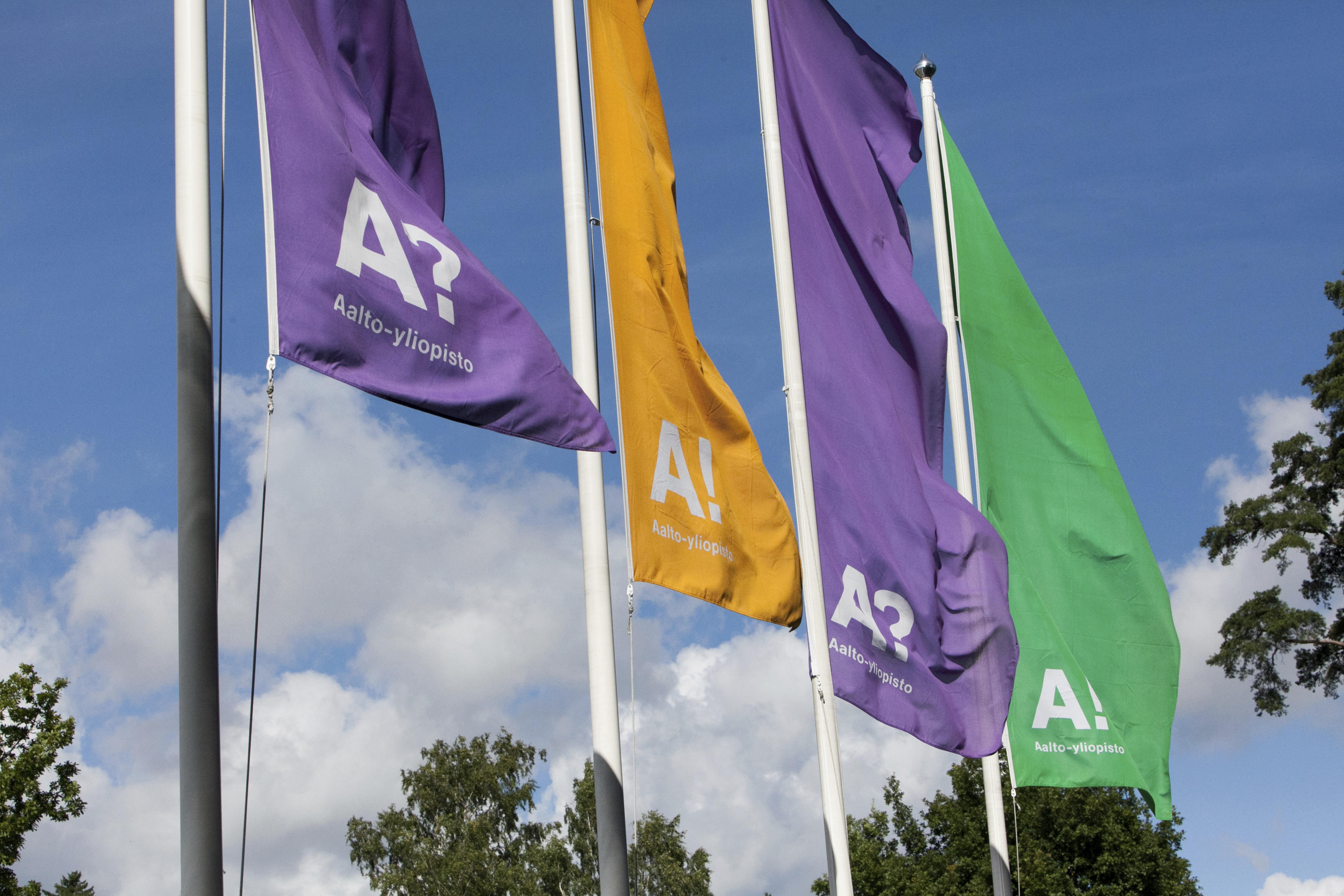 Otakaari 1 entrance flags